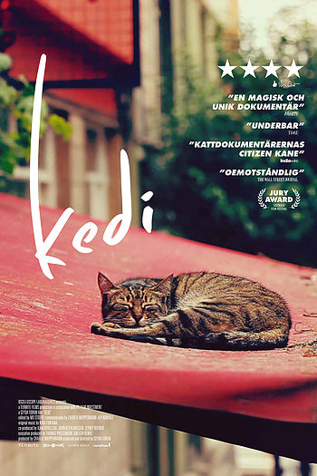 Omslag till filmen: Kedi
